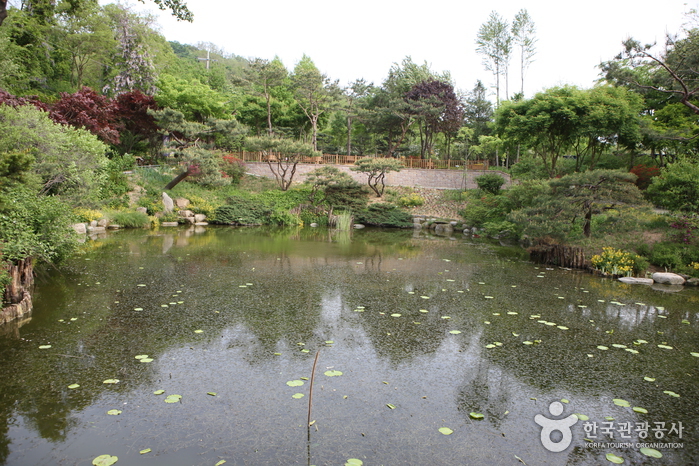 Hantaek Botanical Garden (한택식물원)