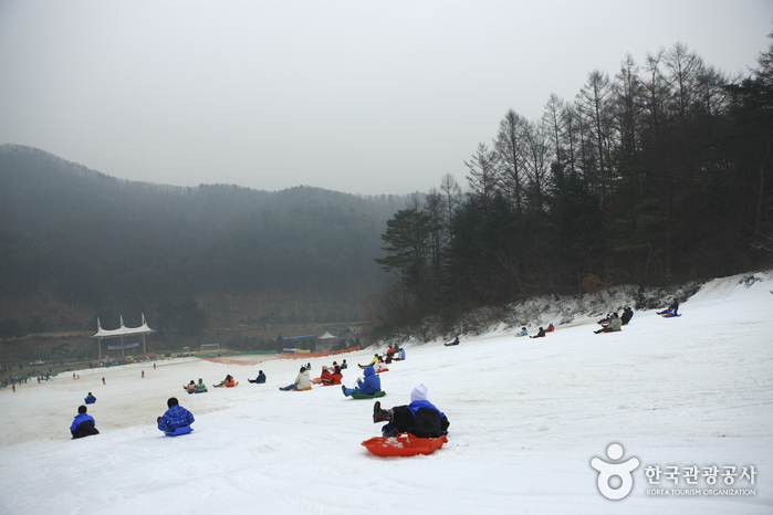 Pista para Trineos de Hanhwa Resort en Yangpyeong (양평한화리조트 눈썰매장)