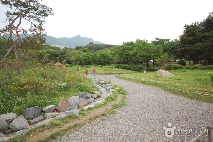 Seoul Grand Park (서울대공원-서울동물원)