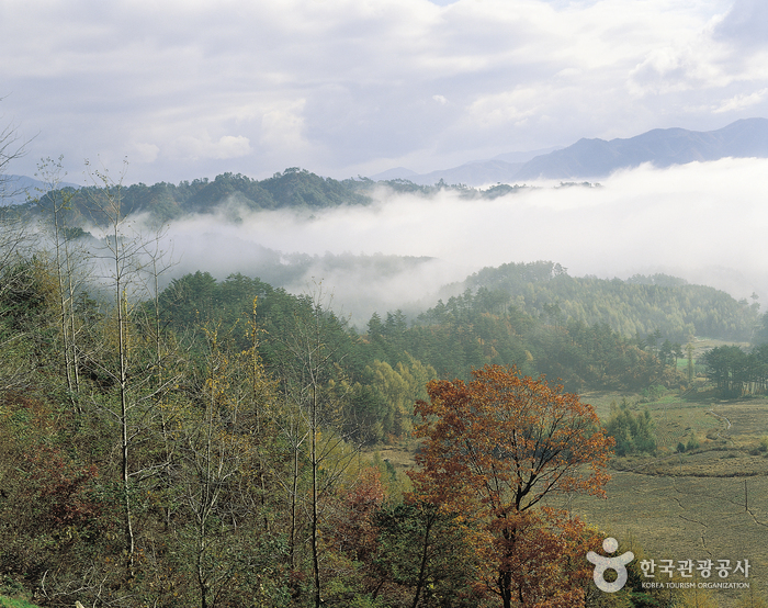 Odaesan National Park (오대산국립공원)