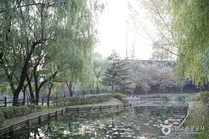 Yongsan Park (용산공원)