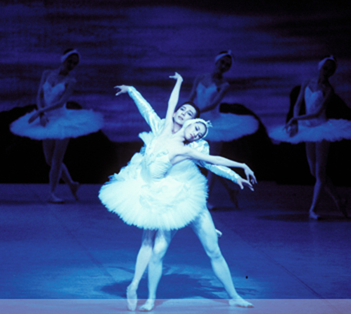 Busan International Dance Festival (BIDF) (부산 국제무용제)