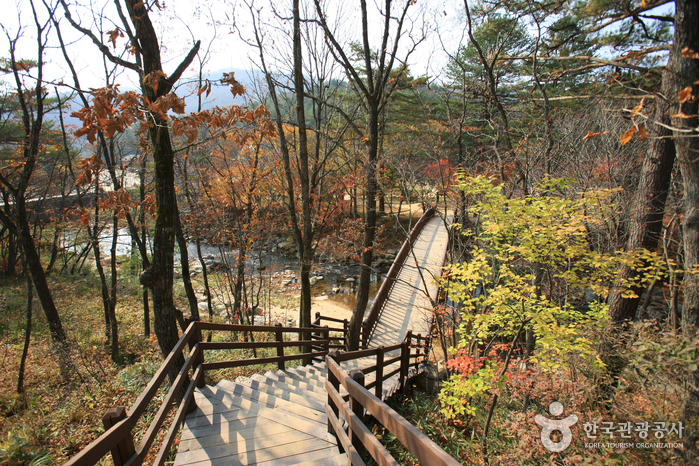 Eco Green Campus [Daegwallyeong Samyang Ranch] (에코그린 캠퍼스, 구 대관령 삼양목장)