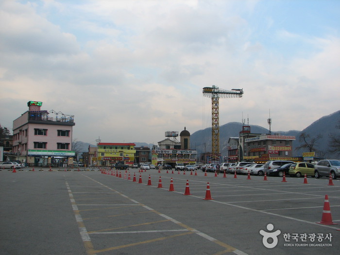 Namiseom Island (남이섬 종합휴양지)