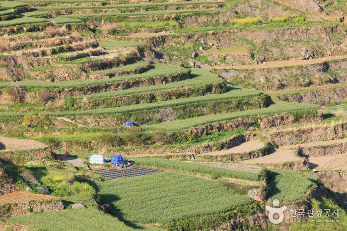 Daraengi Village (가천 다랭이마을)