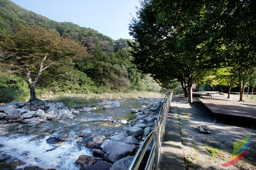 Banghwadong Natural Recreation Forest (방화동자연휴양림)