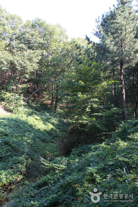 白沙室渓谷（백사실계곡）