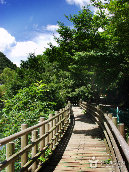 내장산국립공원 사진15