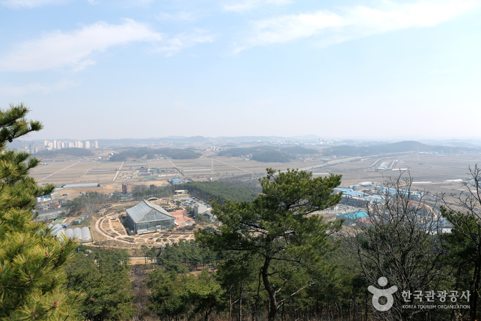Hwaseong City Botanic Garden (화성시 우리꽃 식물원)