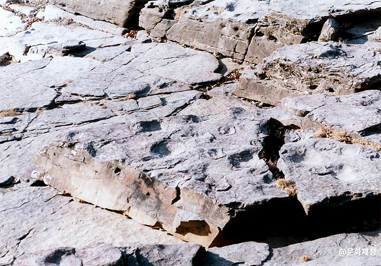 천전리공룡발자국화석
