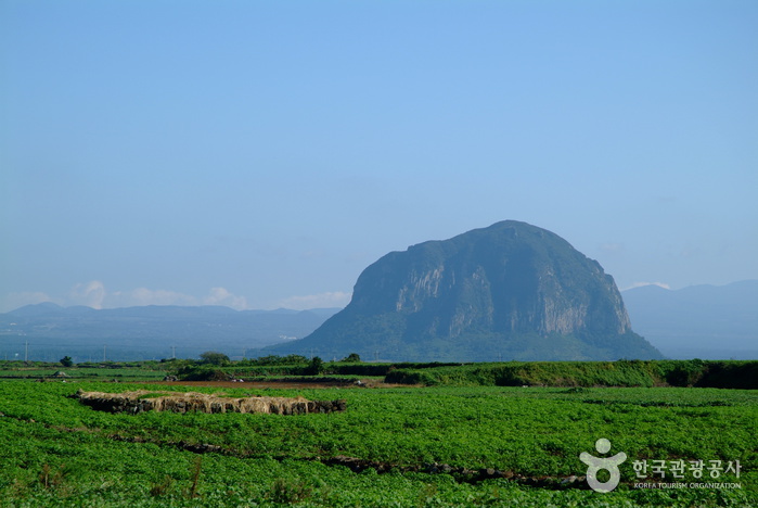 [제주올레 10코스] 화순-모슬포 올레5