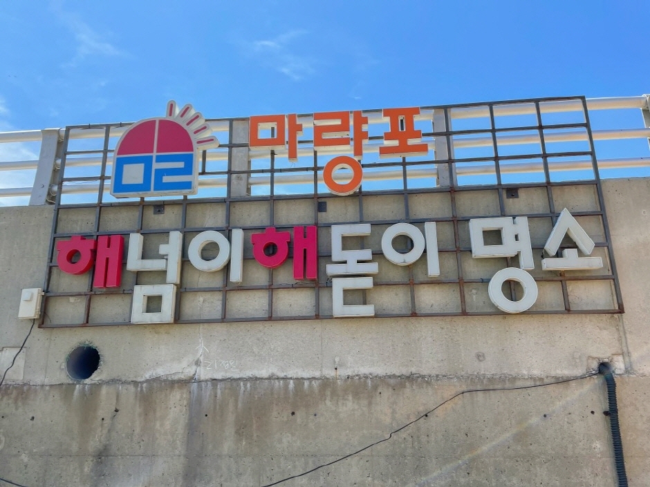 Seocheon Camellia Jukkumi Festival (서천 동백꽃 주꾸미축제)