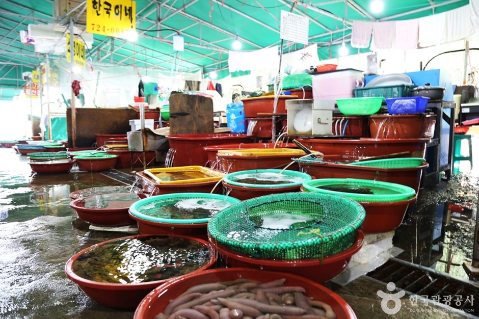 Woljeon Fish Market (월전 활어판매장)