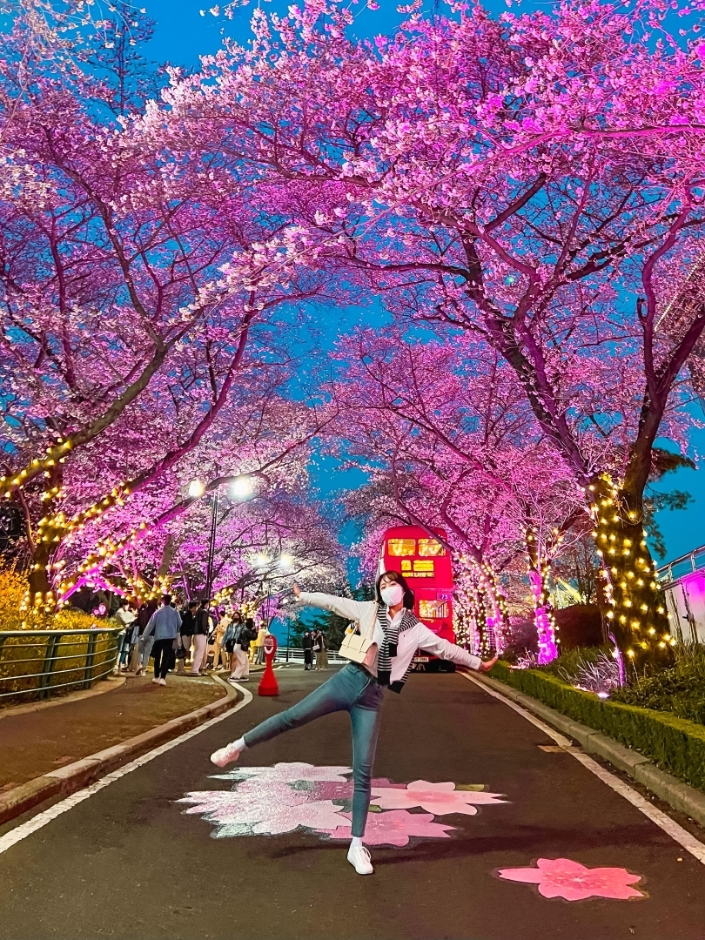 E-World Blossom Picnic (이월드 블라썸 피크닉)
