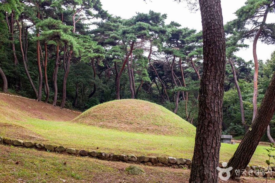 경주 법흥왕릉