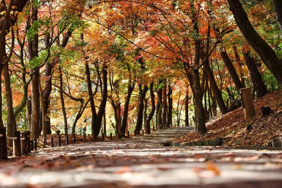 부소산