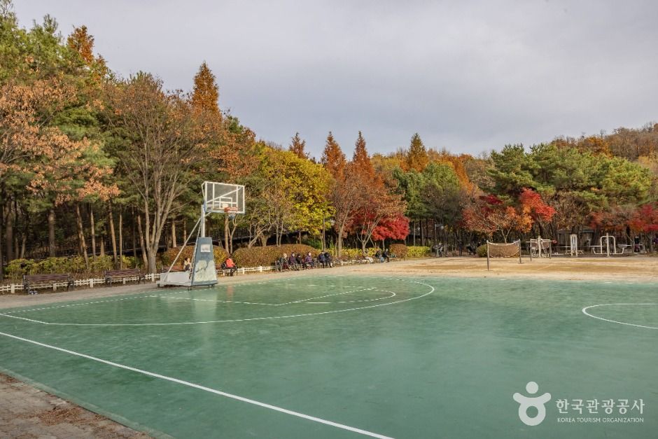 금천 체육공원