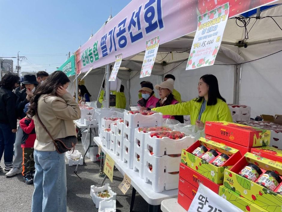 完州参礼草莓节(완주삼례딸기대축제)