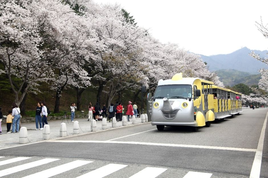 thumbnail-ソウル大公園（서울대공원）-27