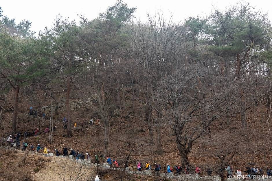 [강릉 바우길 9구간] 헌화로 산책길