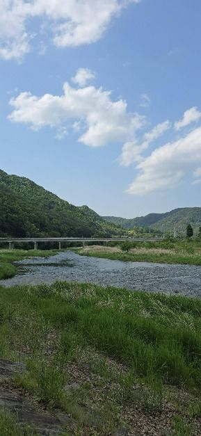 신촌숲