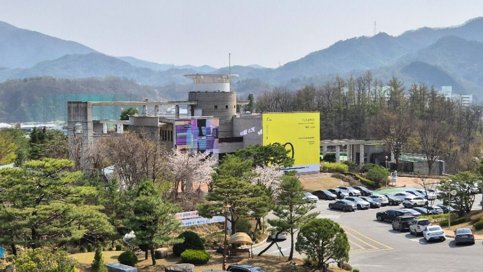 제23회 동강국제사진제 (11)