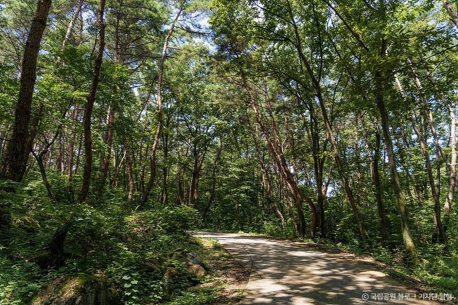 팔공산국립공원(은해사지구)
