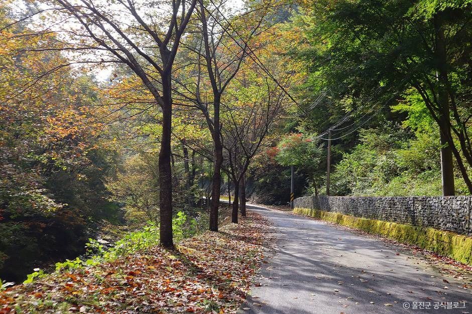국립 통고산자연휴양림
