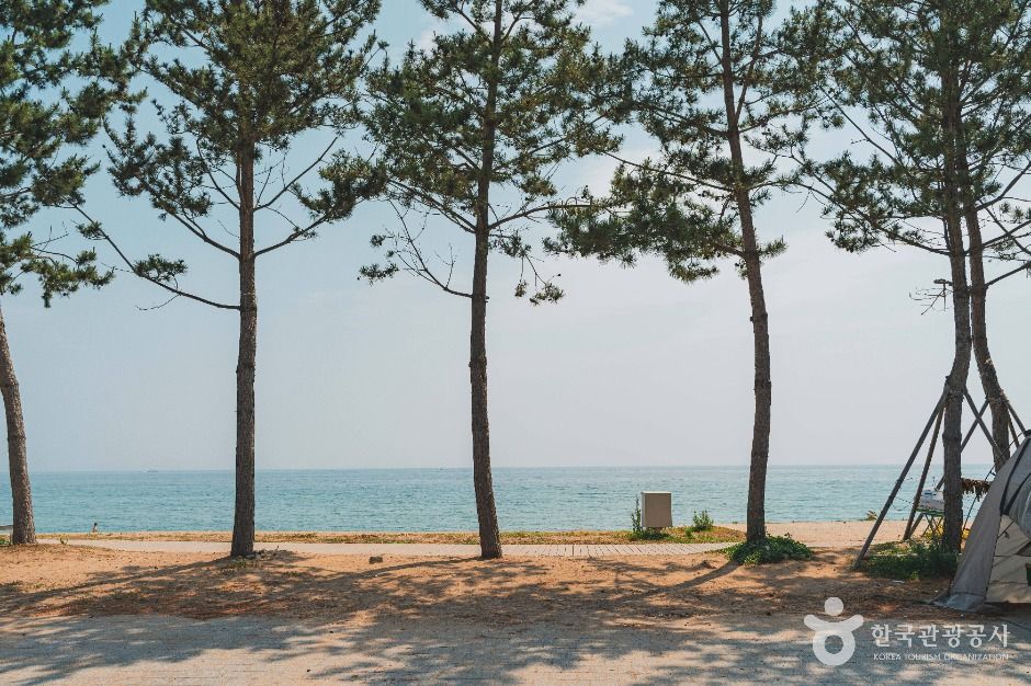 장사해수욕장