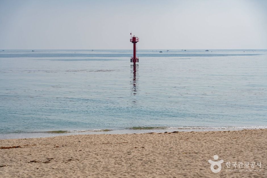 봉포해변