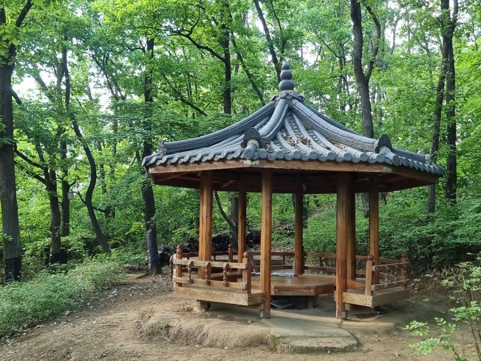 서울_[서울둘레길 8코스] 장지·탄천코스 (6)