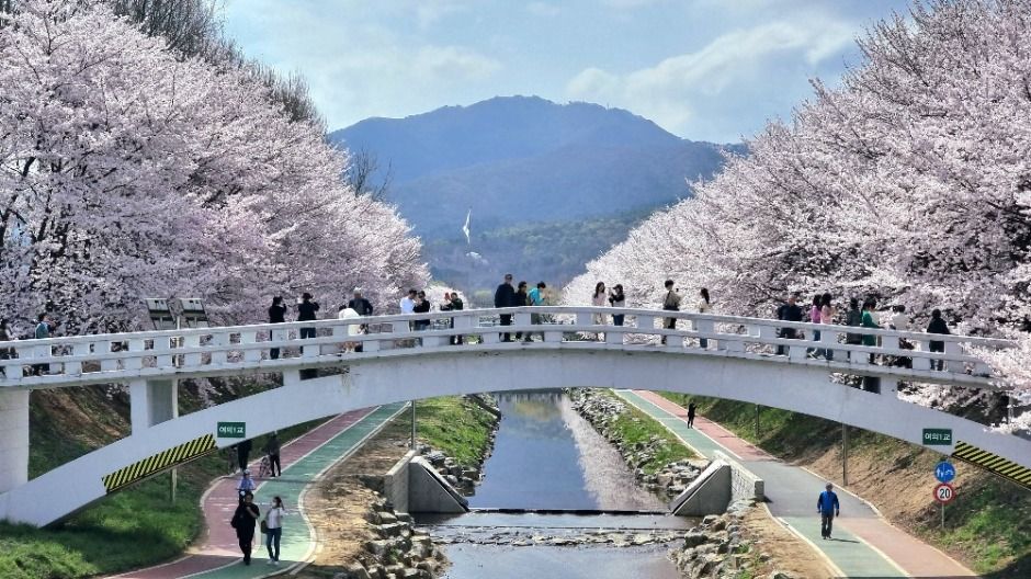 [서울둘레길 9코스] 대모·구룡산코스