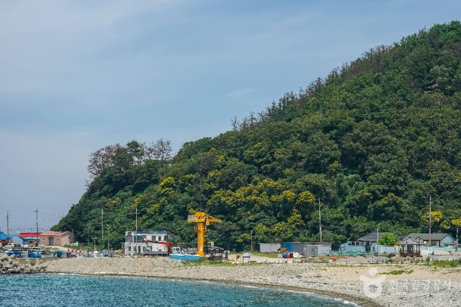 포항 발산리 모감주나무와 병아리꽃나무 군락