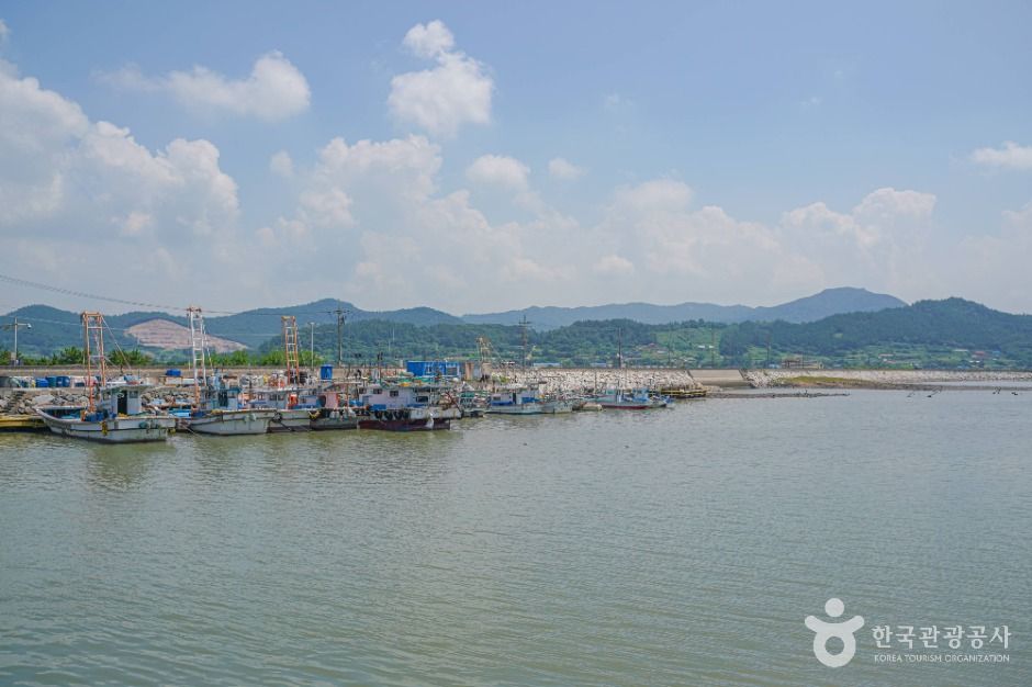 설도항