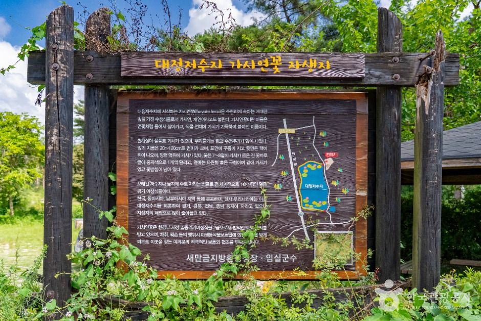 대정저수지