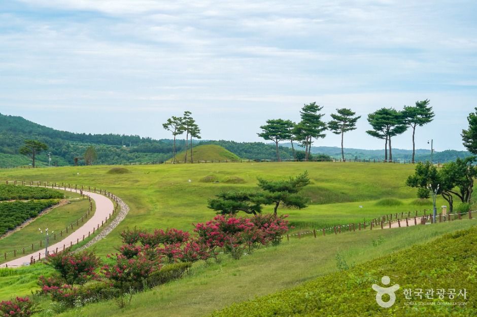 의성 금성면 고분군