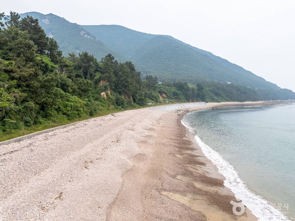 금장해수욕장