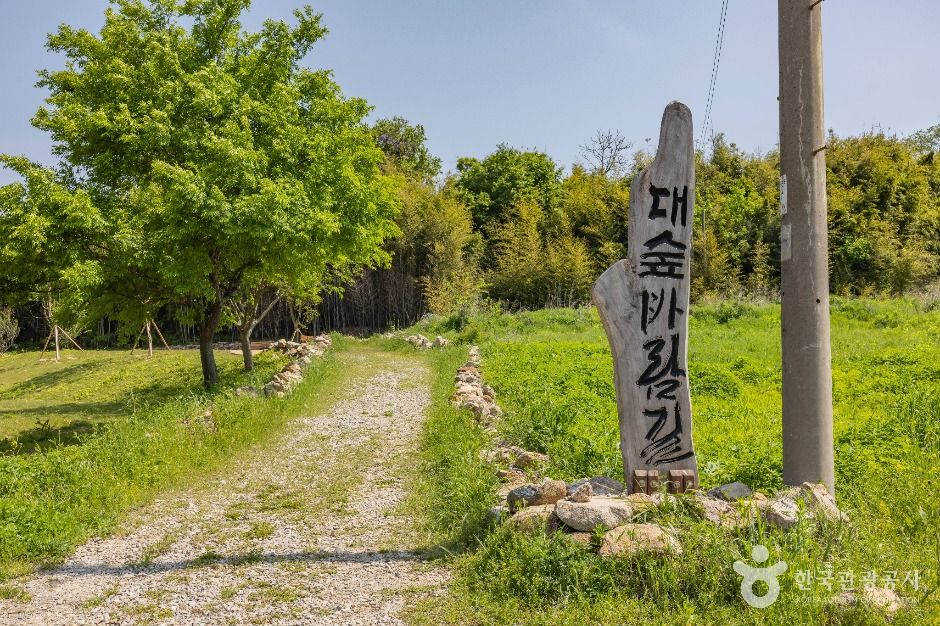 면천읍성 대숲바람길