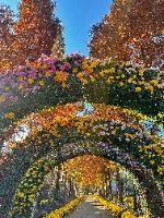 피나클랜드수목원5