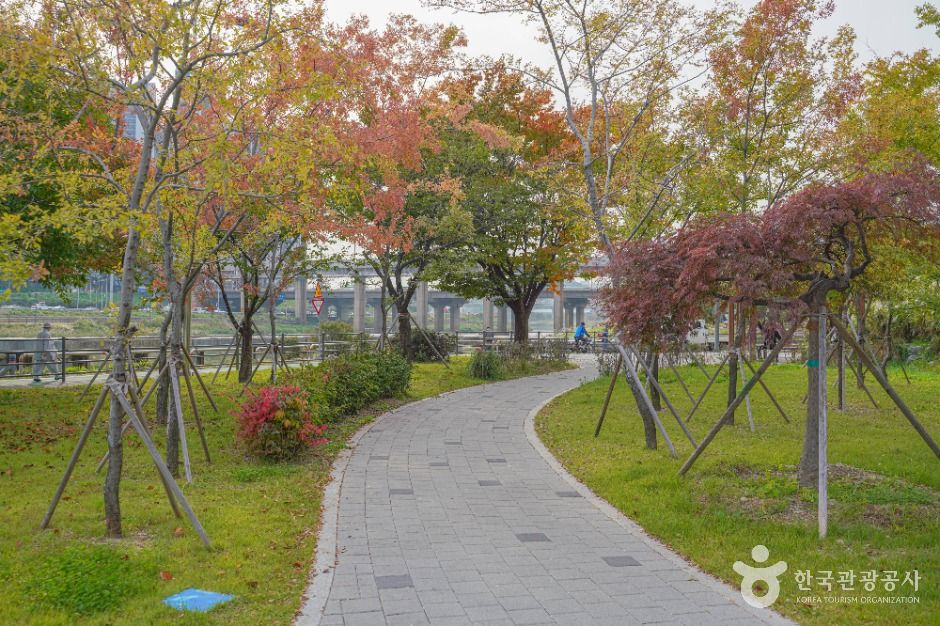 살곶이체육공원