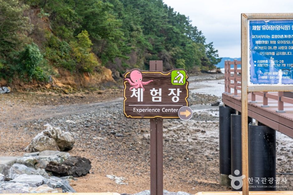 thumbnail-중리어촌체험마을-4