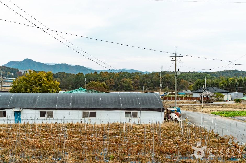 논산 황산벌참살이마을
