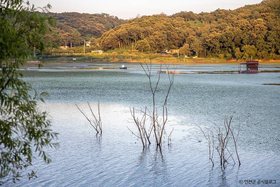 백학저수지