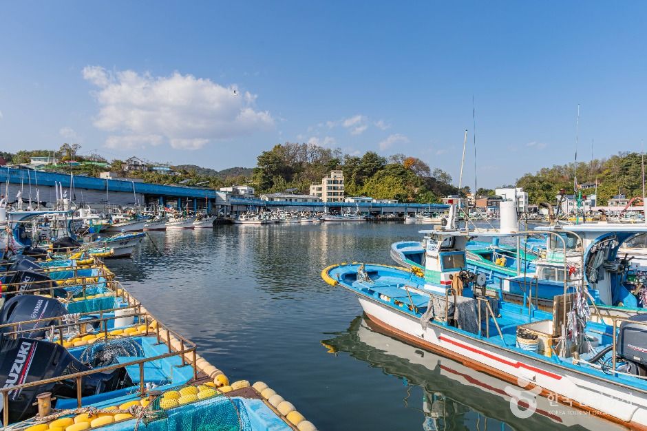 고성_강원평화누리길 19코스 고성 통일로 가는길 (2)