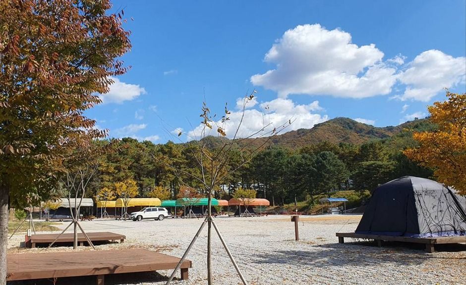 철원_유곡리평화마을캠핑장 (2)