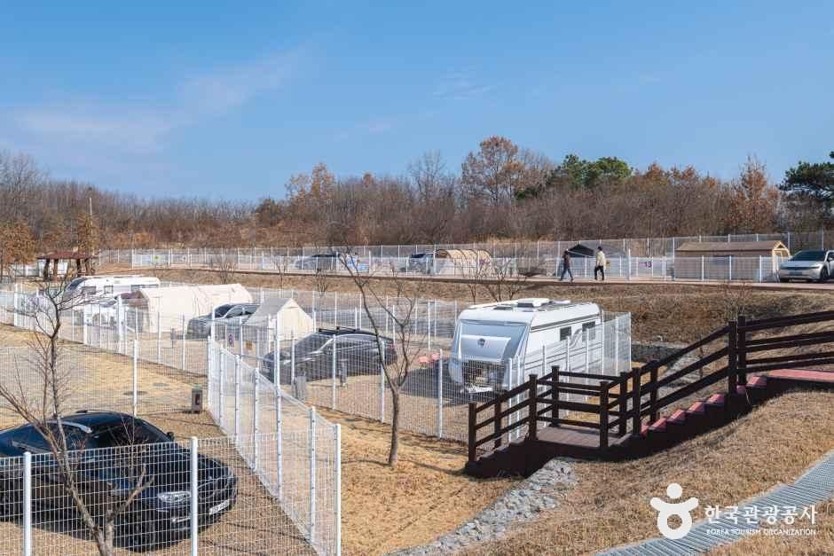 thumbnail-의성 펫월드-13