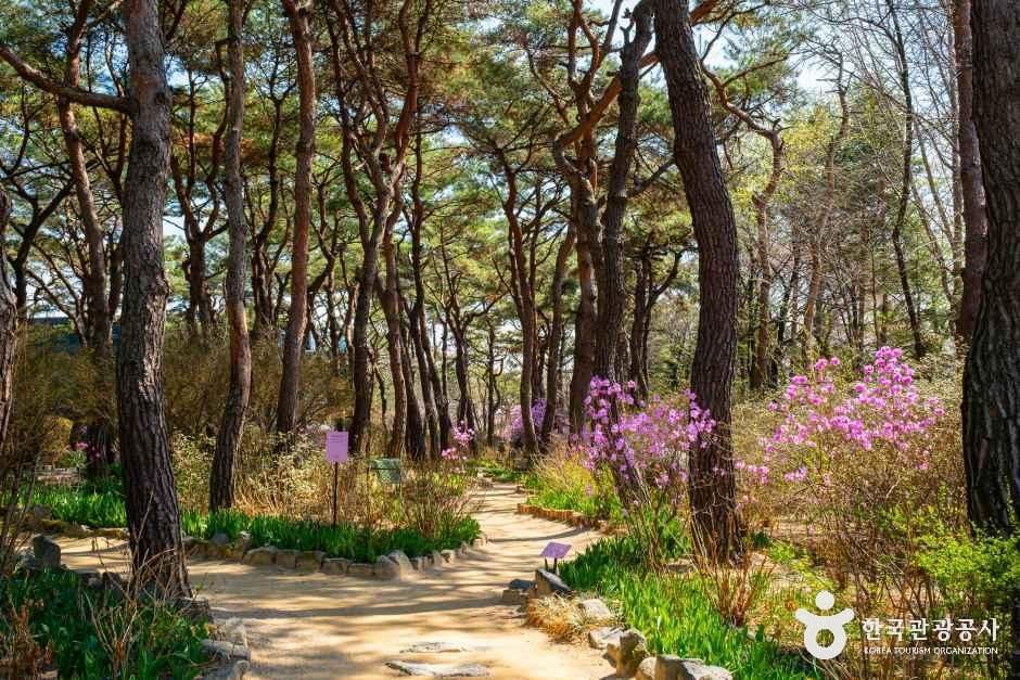 thumbnail-벽초지수목원-10