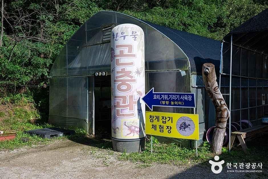 thumbnail-찬우물 체험동물농장-2