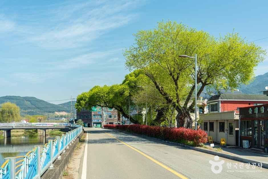 thumbnail-연파마을-2