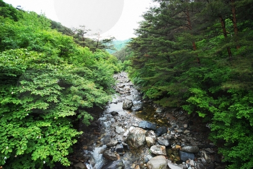 Gariwangsan Mountain (가리왕산)